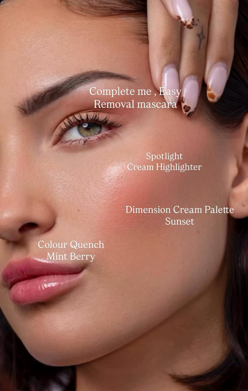 The Dimension cream palette (Classic / Sunset)